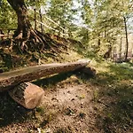 Kostelski Buk Szálloda 4*