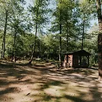 Hotel Kostelski Buk 4*