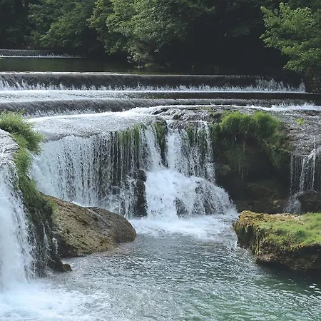 Kostelski Buk