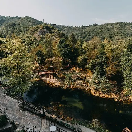 호텔 Kostelski Buk 4*