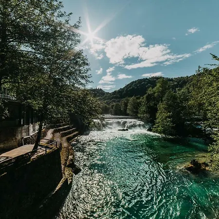 Kostelski Buk