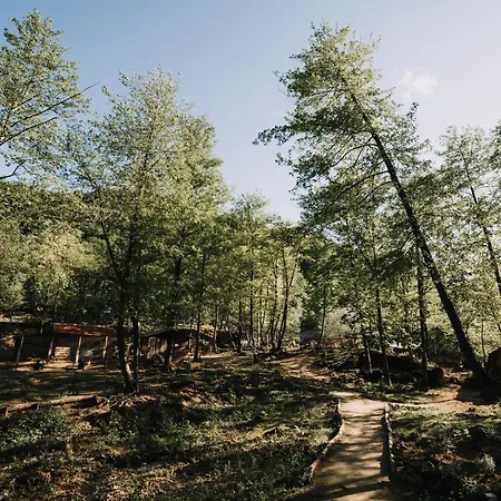 Kostelski Buk 4* Bihać