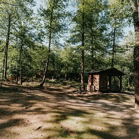 Hotel Kostelski Buk 4*