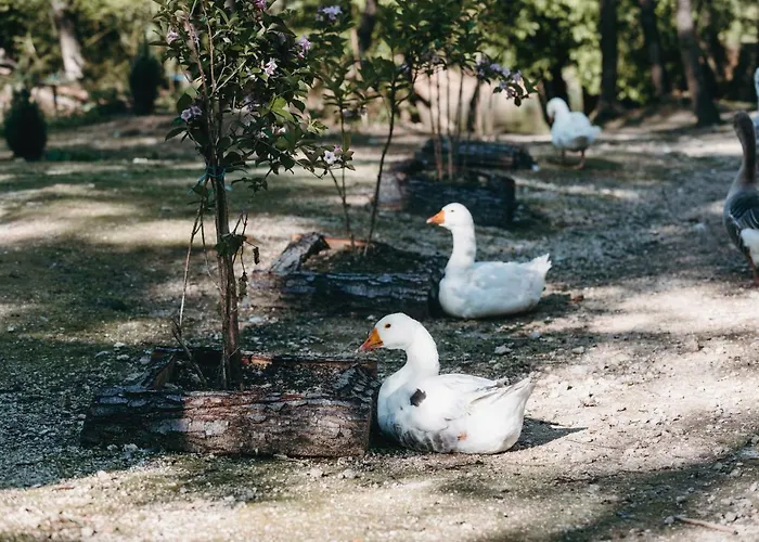 Hotel Kostelski Buk Bihać
