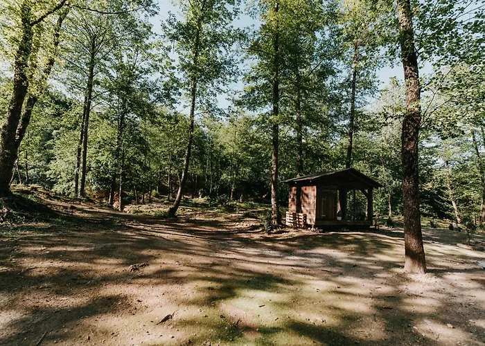 Hotel Kostelski Buk 4*