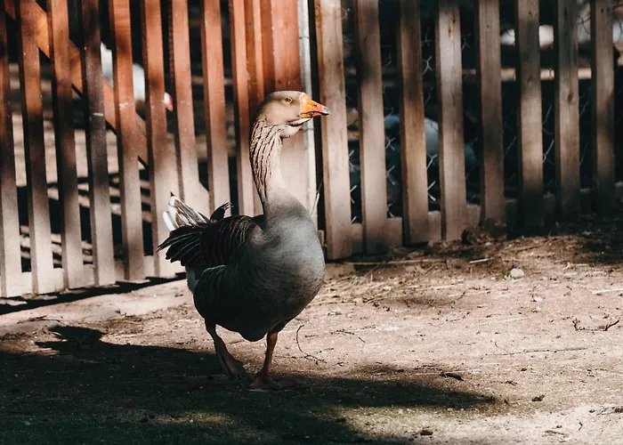 Kostelski Buk Hotel Bihać