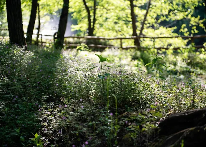 Kostelski Buk 4* Bihac